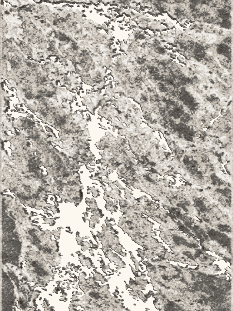 Ковры дизайн 31012 цвет 44945