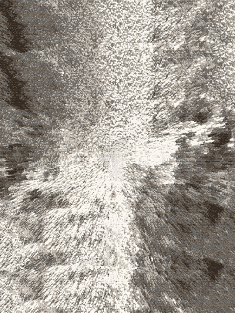 Ковры дизайн 31013 цвет 44945